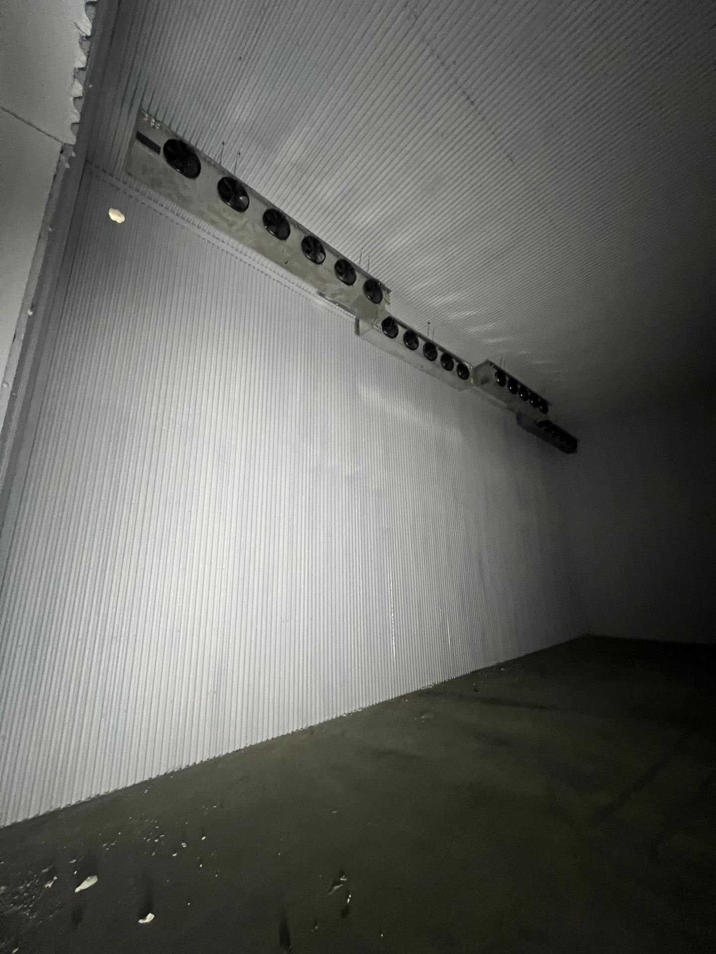 Custom Walk-In Freezer — media 9