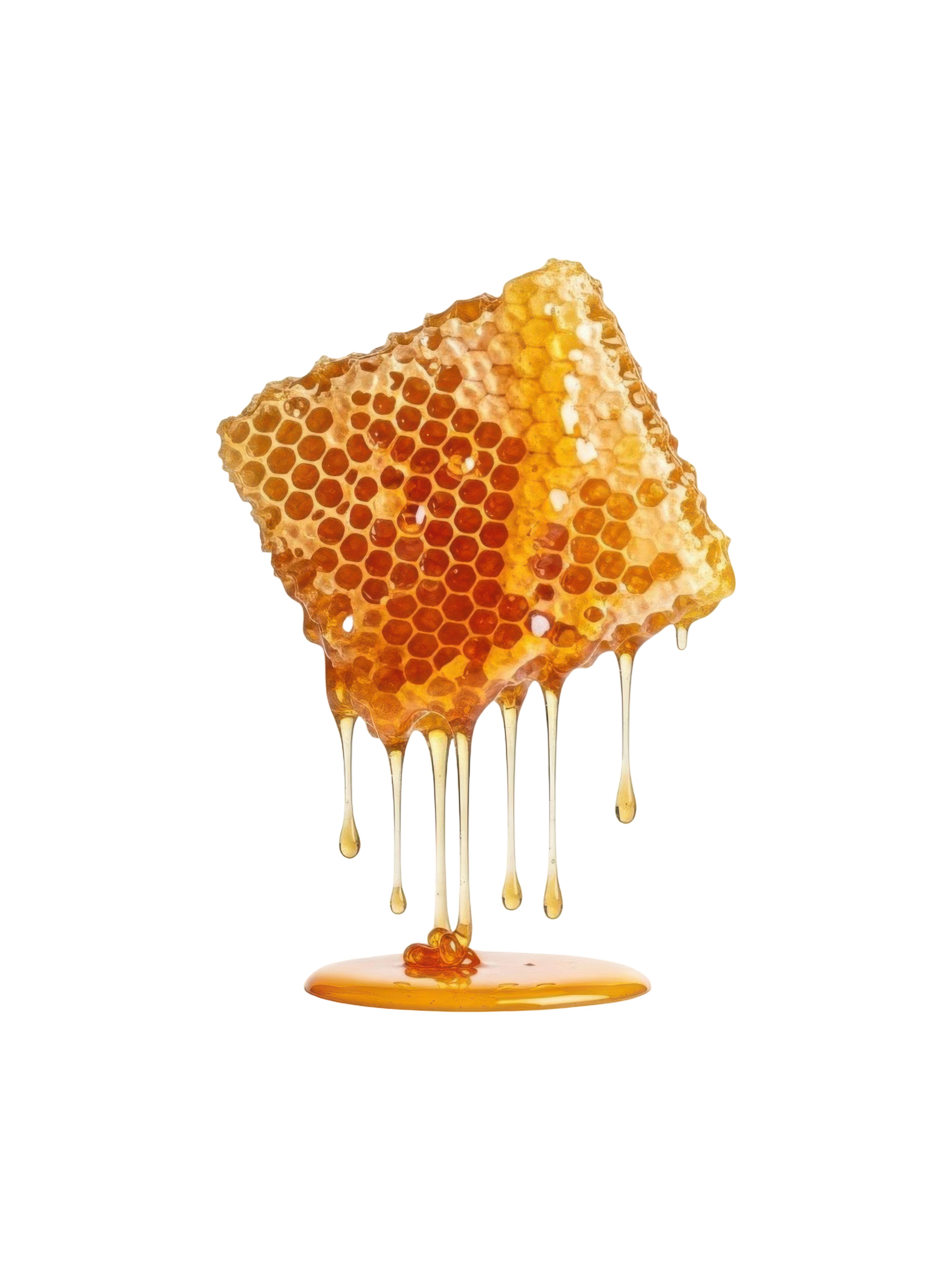 Raw Honey Comb