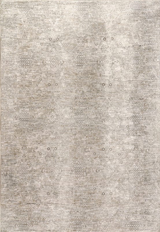 DH3512043899 - Dynamic Rugs - Dharma - Beige Multi 12043-899 - 2'7" x 4'11"