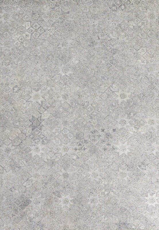 Forever - Silver 7667-900 - Dynamic Rugs - Forever - Silver 7667-900