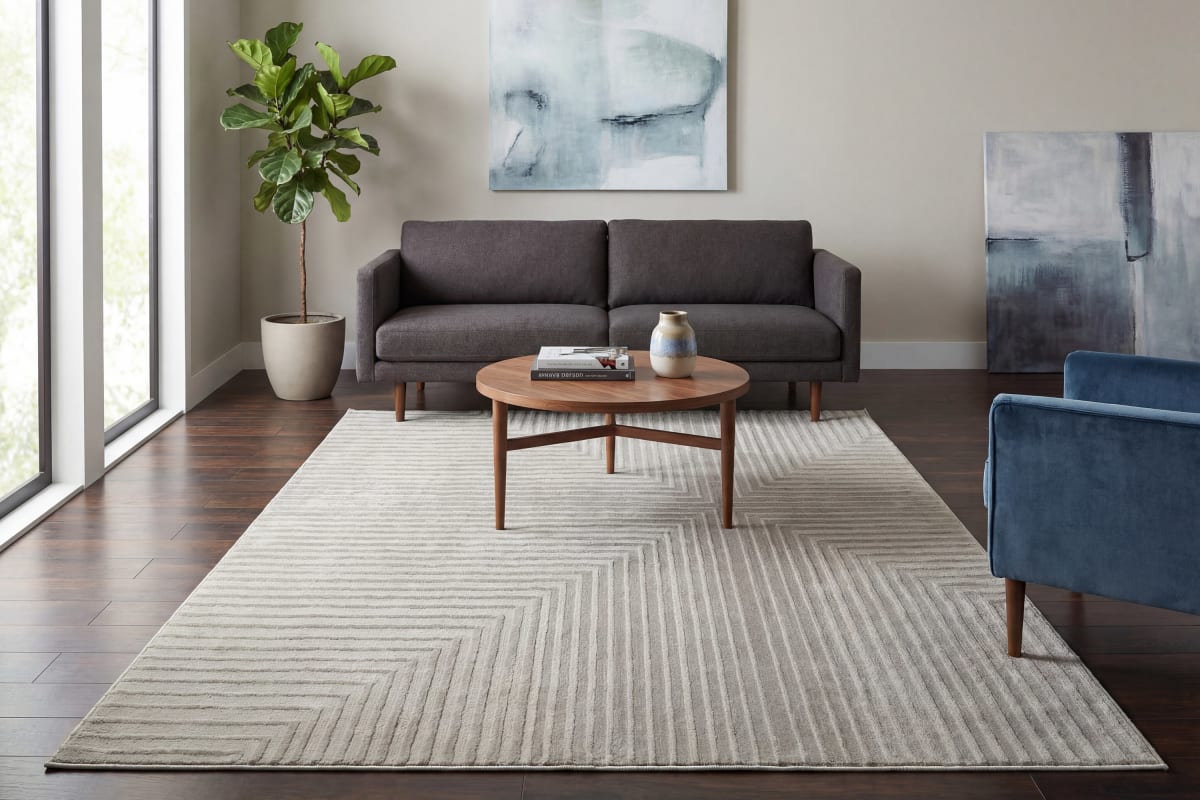 Timeless - Grey 6923-900 - Dynamic Rugs - Timeless - Grey 6923-900