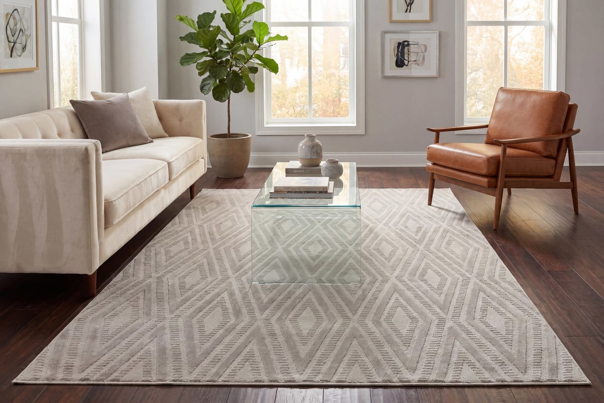 Timeless - Grey Light Grey 6925-909 - Dynamic Rugs - Timeless - Grey Light Grey 6925-909