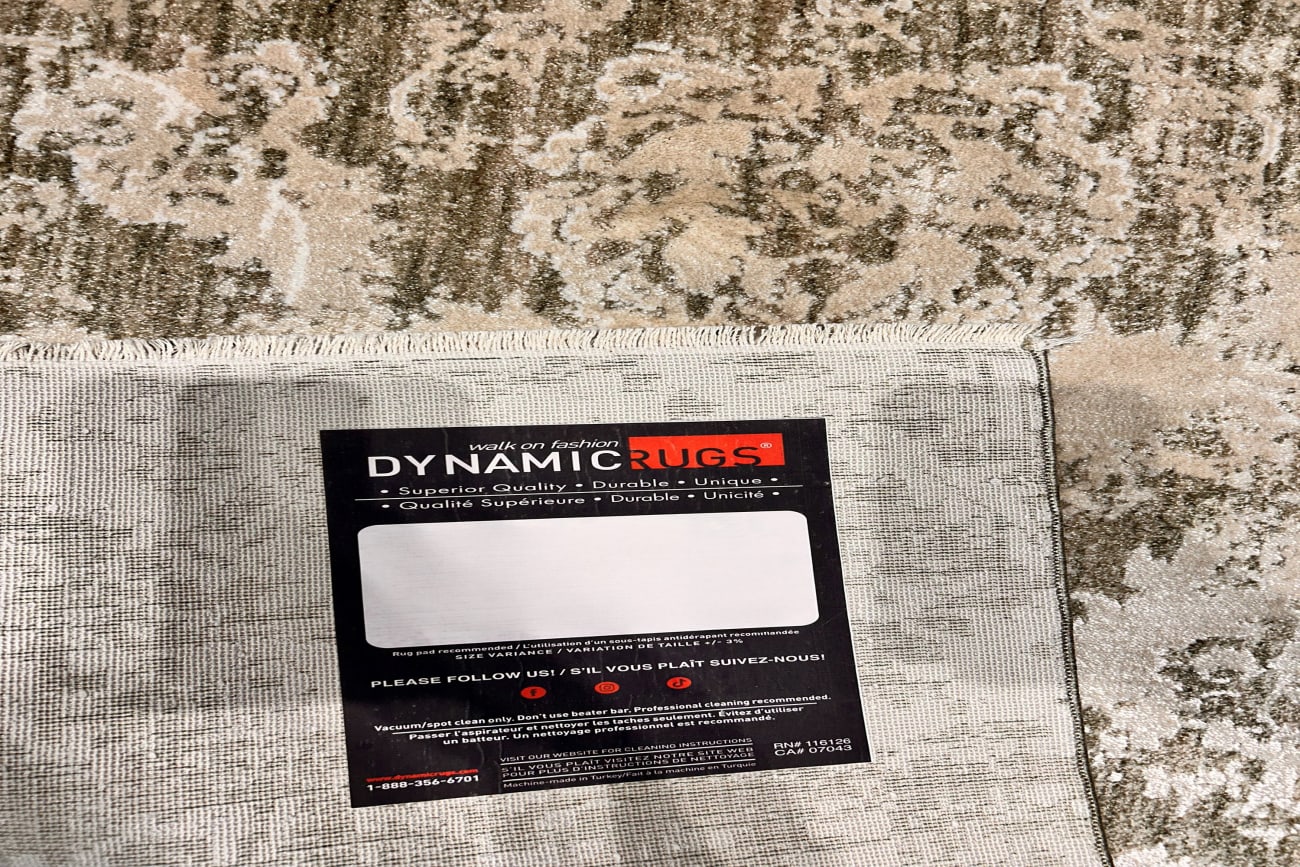 Canyon - Beige Sage 15478-840 - Dynamic Rugs - Canyon - Beige Sage 15478-840