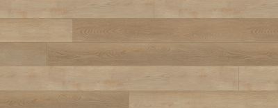 RELC9350 - European Beech