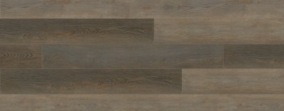 RELC9354 - Northern Oak
