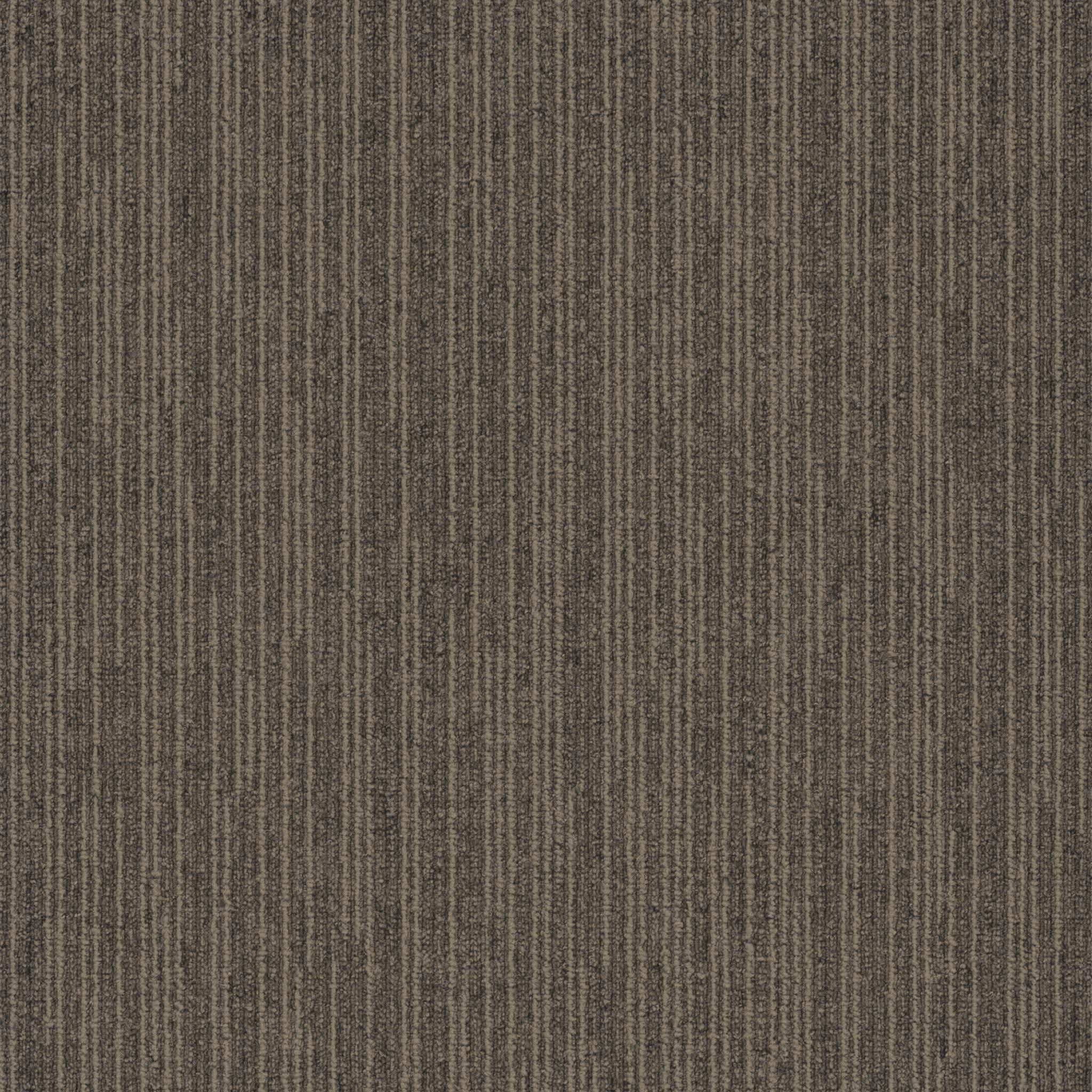 Pentz Commercial - Influencer Tile - Network | 7095T_3252