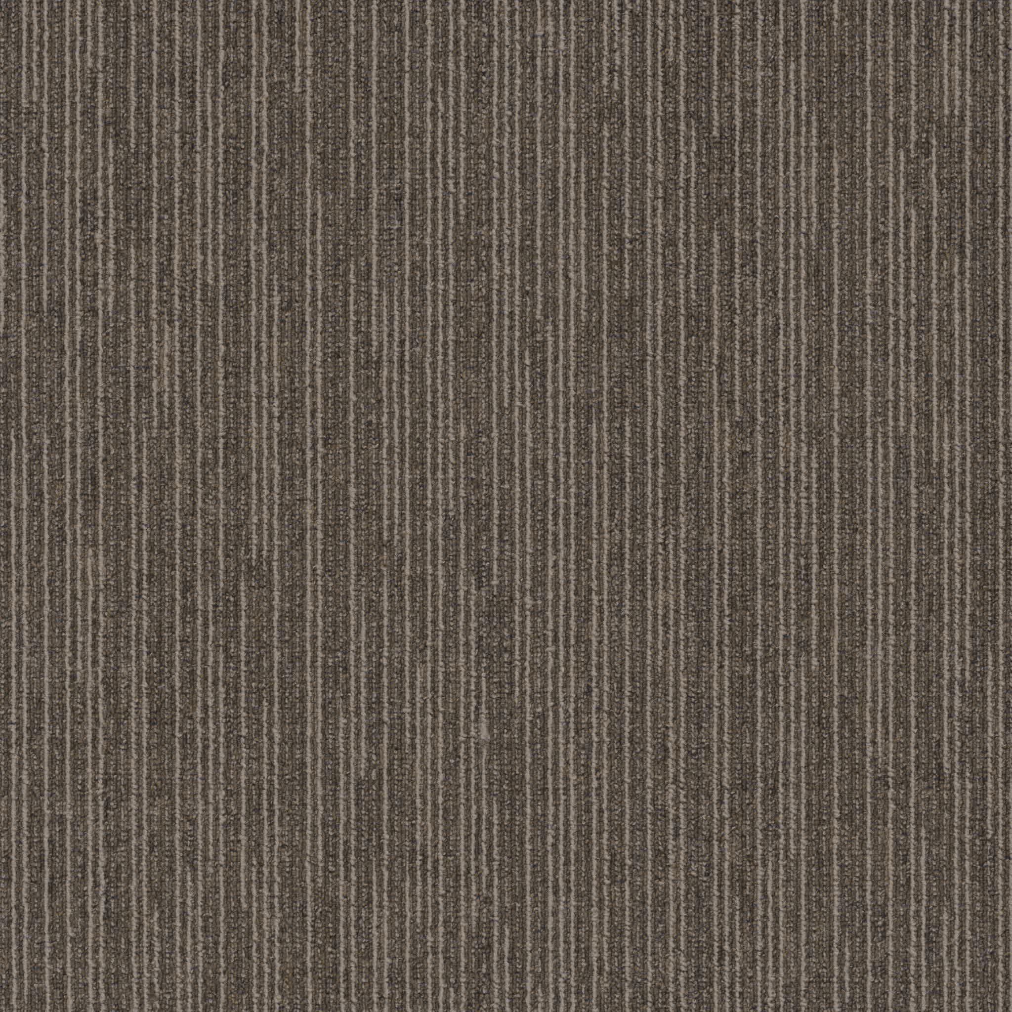 Pentz Commercial - Influencer Tile - Blogger | 7095T_3255