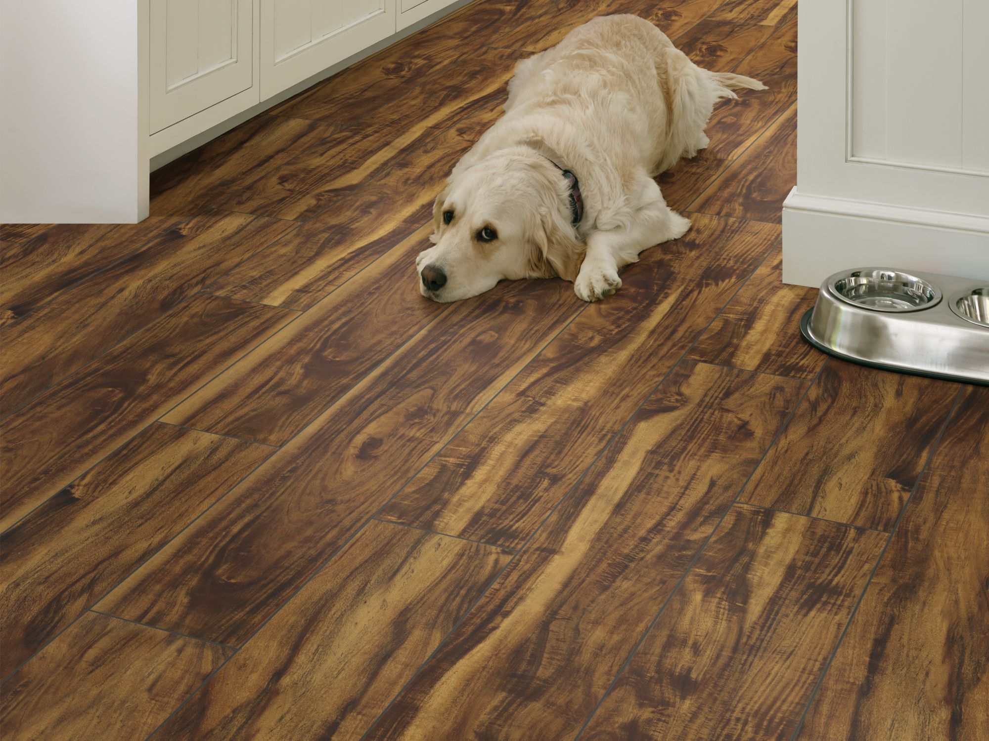Shaw Paragon 7 Plus Rainforest Acacia From Znet Flooring