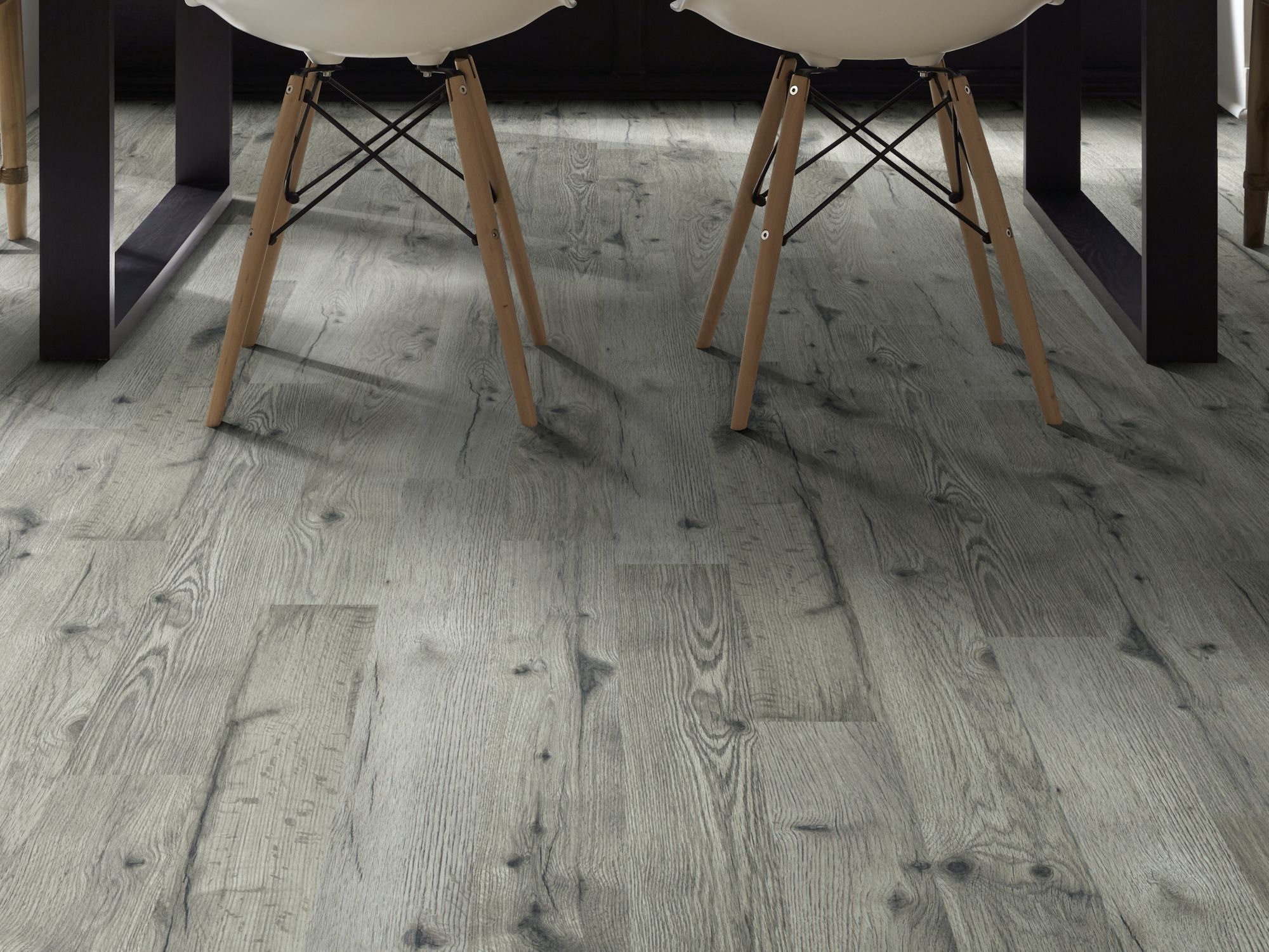 Shaw Repel Gold Coast Evening Walk from Flooring