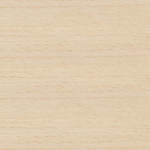 VEX-126911 Norfolk Maple - small 2