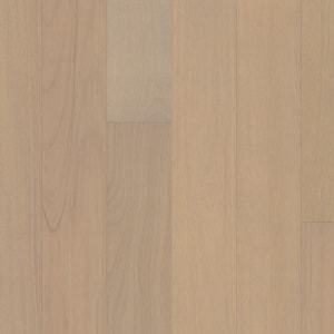 AA851-01159 - small 1