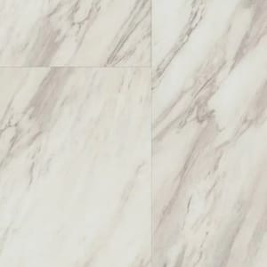 S1117-D1112 - small 1