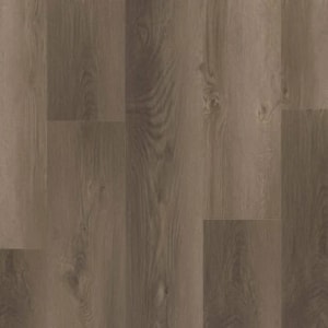 P2237-M5613 - small 1