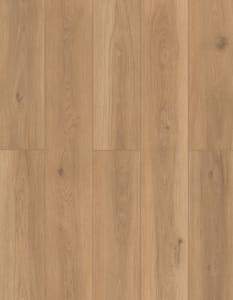 LI-TS202 - small 1