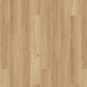 SDE03-207 - small 1