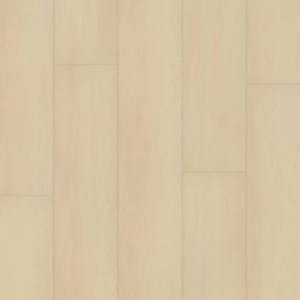 P2239-M1705 - small 1