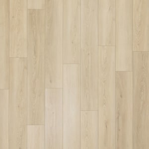 AH133-838 - small 1