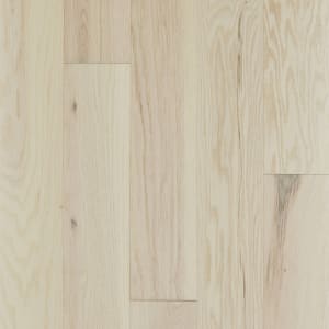 SW713-01088 - small 1