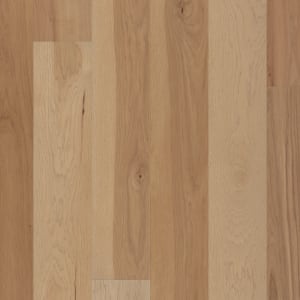 SW773-01156 - small 1
