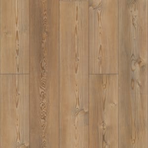 VV491-02958 - small 1
