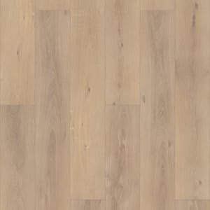 VV488-02091A - small 1