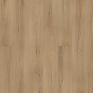 SDP11-211 - small 1