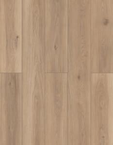 LI-TS201 - small 1