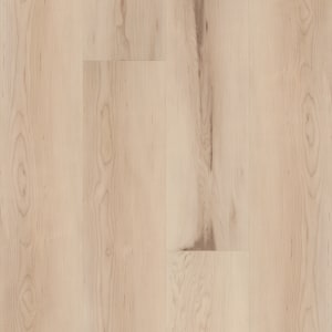 VV017-01019 - small 1