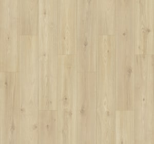 PSR19-122 - small 1