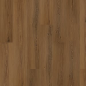 SDP11-843 - small 1