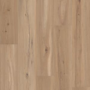 VV810-05026 - small 1