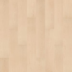 SDP12-205 - small 1