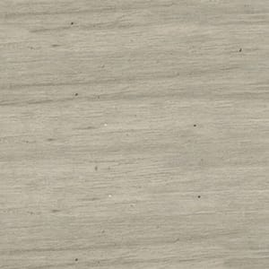 SCAP-118552 Ghost Elm - small 2