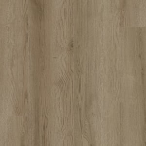 SDS04-858 - small 1