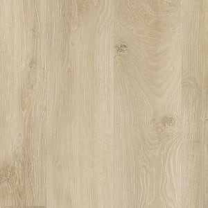 PTL04-936 - small 1