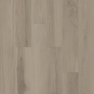 00500_5M316 - small 1