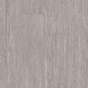 00559_5M303 - small 1