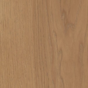 SW773-01156 - small 2