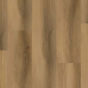 P2237-M5501 - small 1
