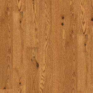 SW786-02080 - small 1