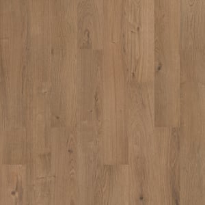 SDS13-842 - small 1
