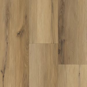 P2244-M2502 - small 1
