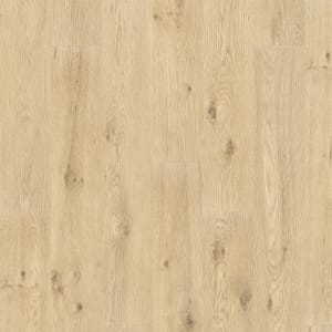 PTL08-138 - small 1