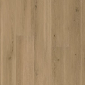FXP742 - small 1
