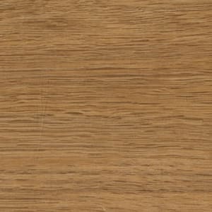 SCAP-109952 North American Oak - small 2