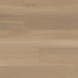 AKP-RL24 - small 1