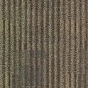 2B137_869 - small 1