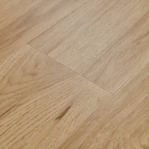 FXP770 - small 1
