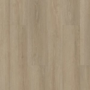 07194-3365V - small 1
