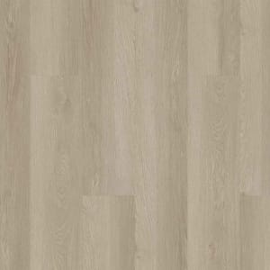 02029-3365V - small 1